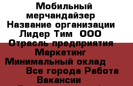 Мобильный мерчандайзер › Название организации ­ Лидер Тим, ООО › Отрасль предприятия ­ Маркетинг › Минимальный оклад ­ 22 500 - Все города Работа » Вакансии   . Белгородская обл.